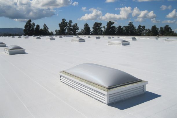 Untitled design (13)