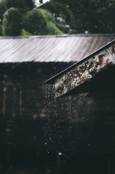 roof leak